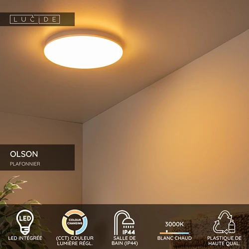 Lucide OLSON - Plafonnier Salle de bains - Ø 29 cm - LED - CCT - 1x24W 3000K/6500K - IP44 - Opalin - USP